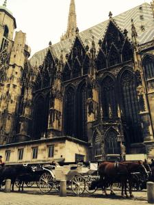 1510739_10152432470017893_1387965277209181653_n