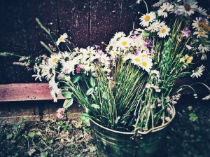 Photo 21.06.15 17 05 17 (1)