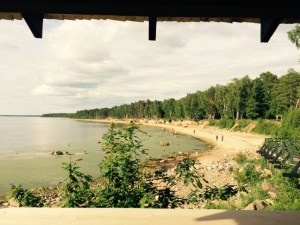 Photo 22.06.15 17 31 41