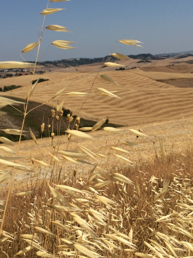 Photo 18.07.15 12 45 07