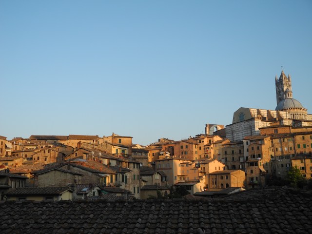 Siena (1)